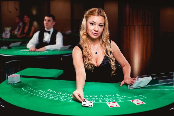pk365 download Live Casino